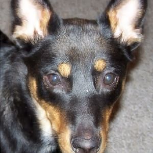 Meet your Posher, Thefillerhoff